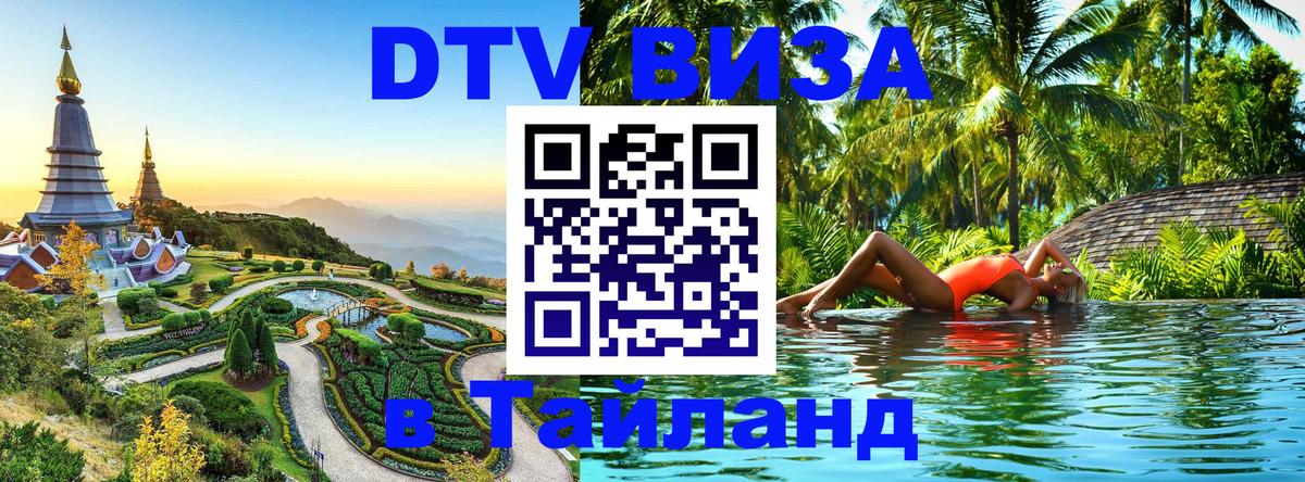Оформление DTV визы под ключ: стоимость и тарифы, только загранпаспорт - 